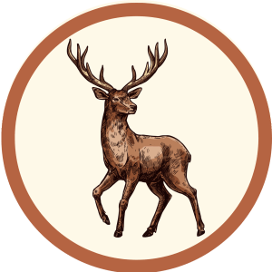 Elk & Even More Wild Critters