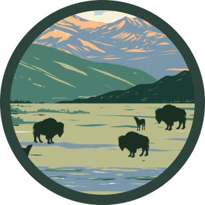 Lamar Valley (Where the Great Fan Fiasco Unfolded)